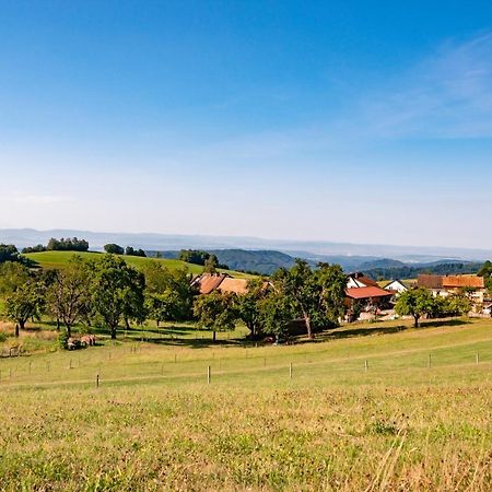 Hofgut Leo Hotel Zell im Wiesenthal Esterno foto