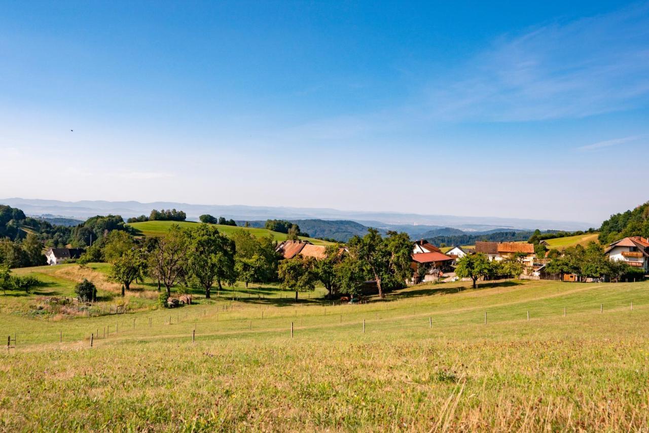 Hofgut Leo Hotel Zell im Wiesenthal Esterno foto